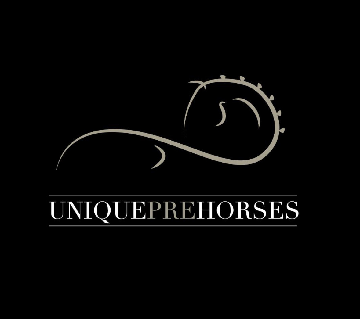 Unique PRE & PSL Horses