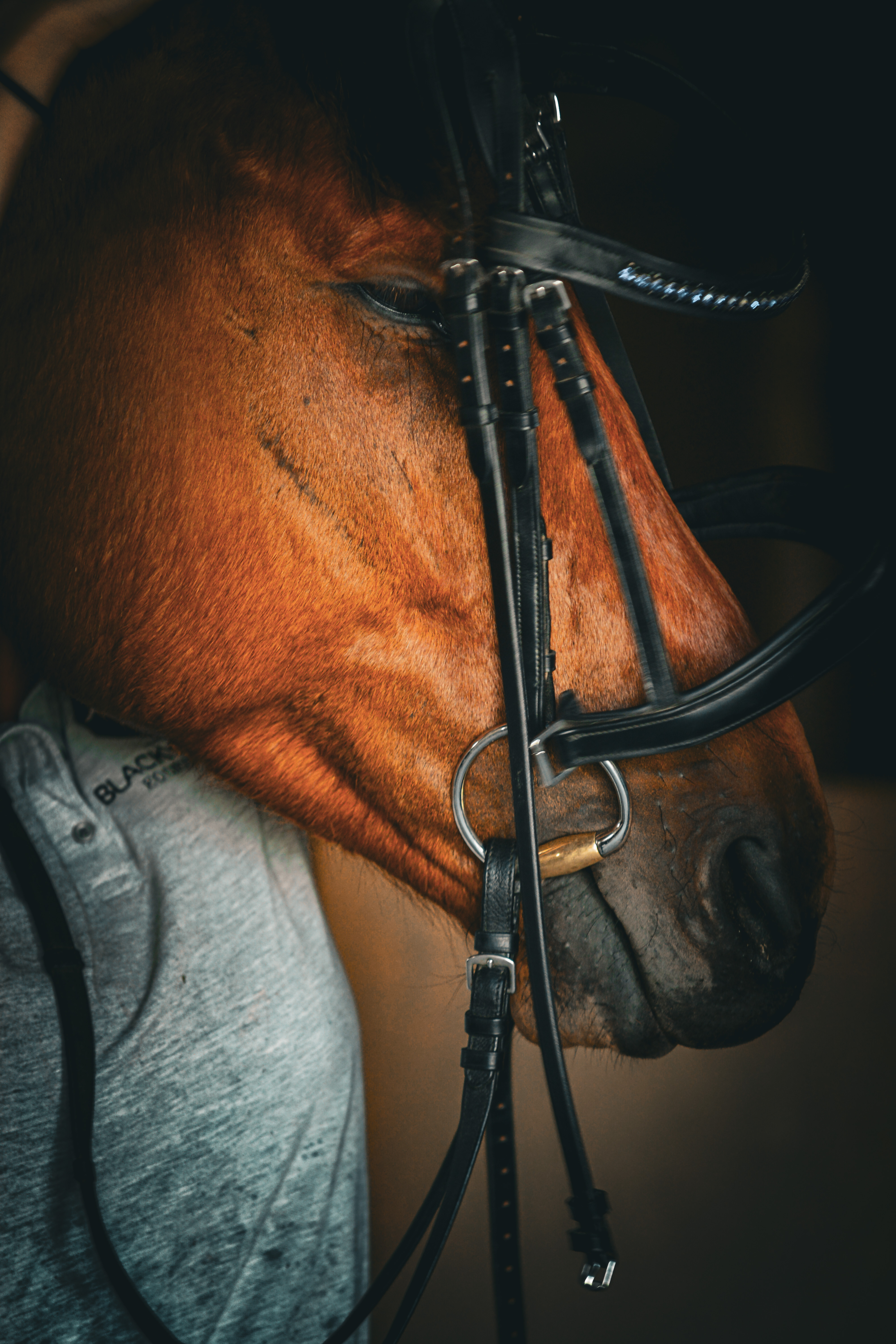 Bit and Bridle Fitting