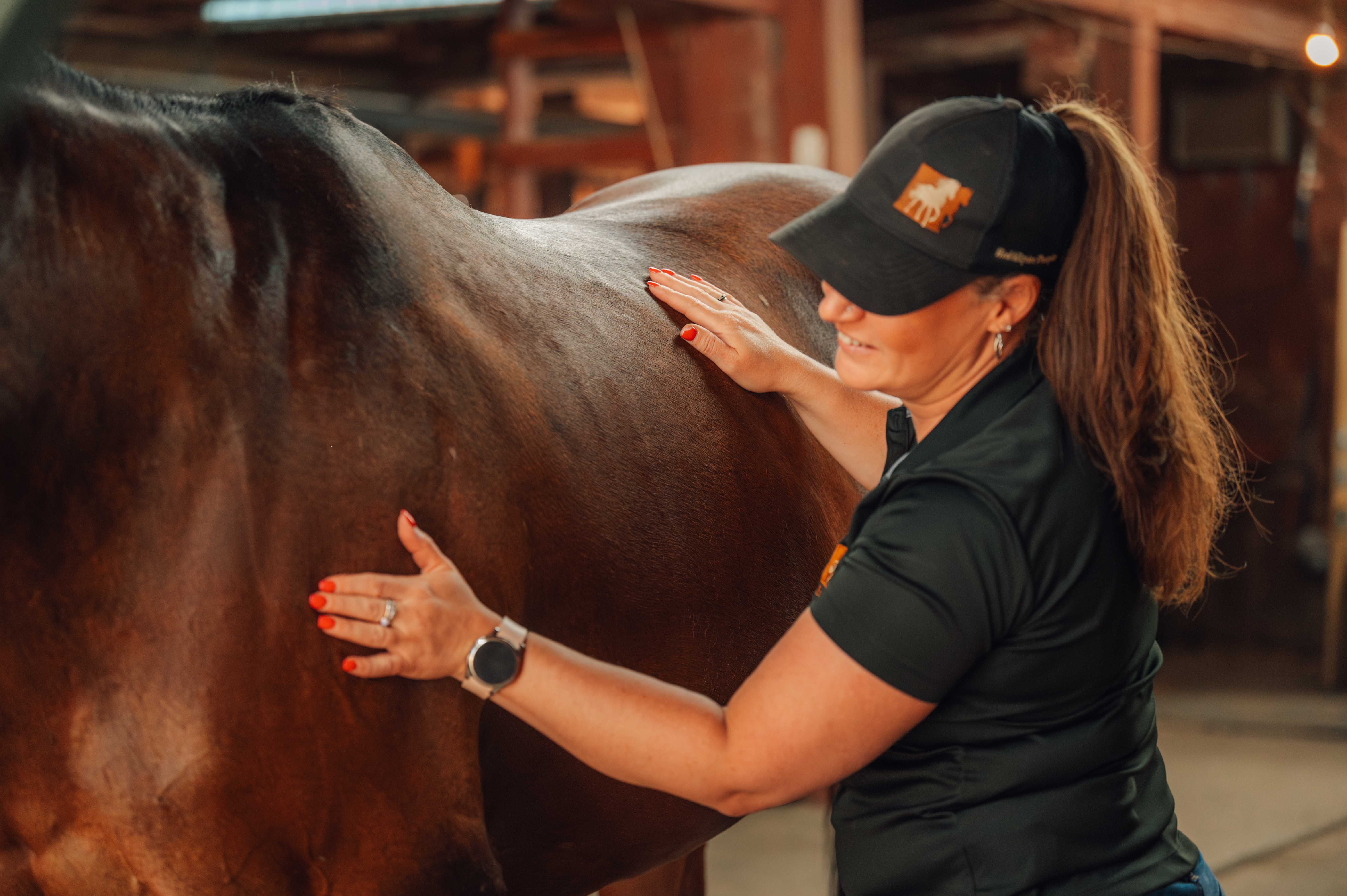 Equine Massage Therapy